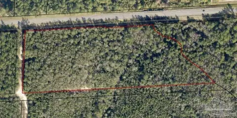 Wooded Land Parcel Near Milton