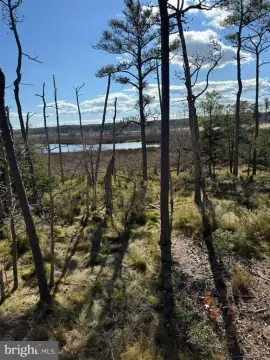 Taylors Island Land For Sale