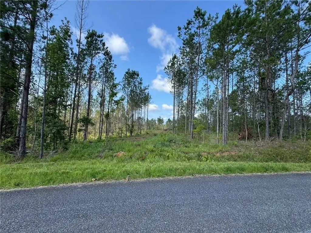 Picture 16