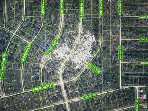 Residential Land in Lake Placid