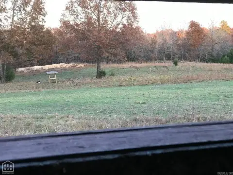 71 Acres of Wildlife-Rich Land