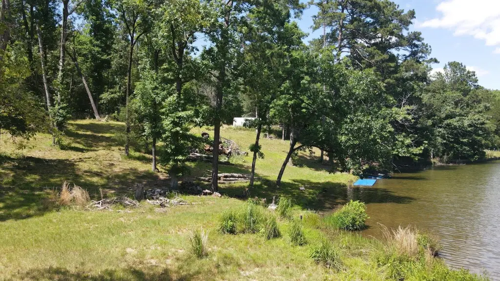 Picture 10