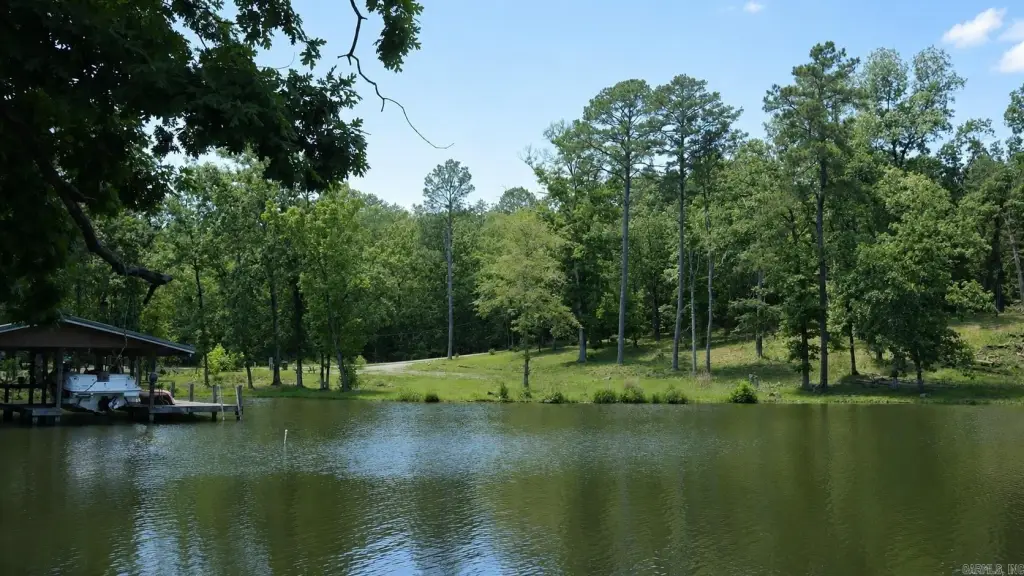 Picture 25
