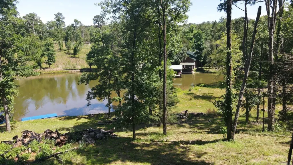 Picture 15