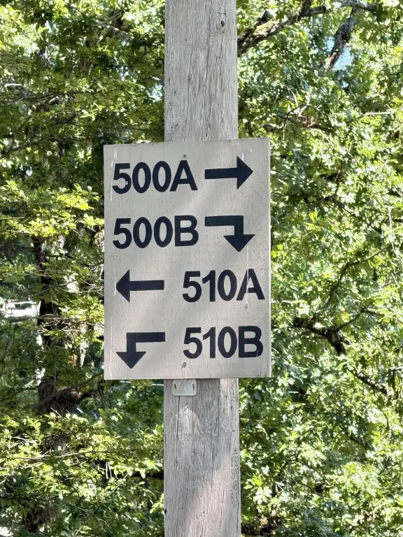 Picture 39