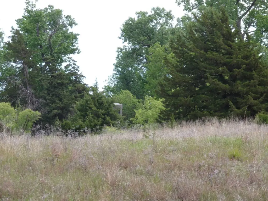 Picture 39
