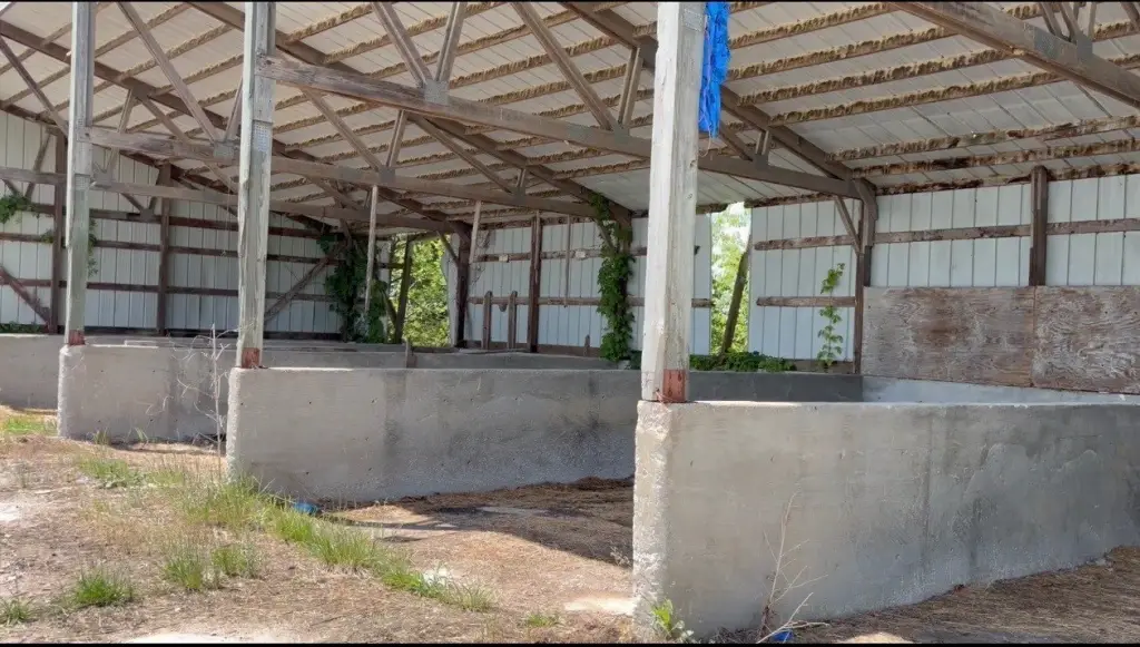Picture 19