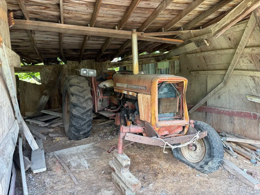 Picture 20