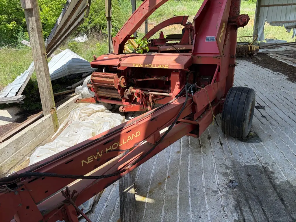 Picture 22