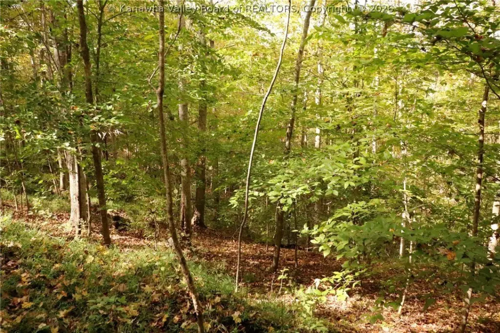 Picture 9