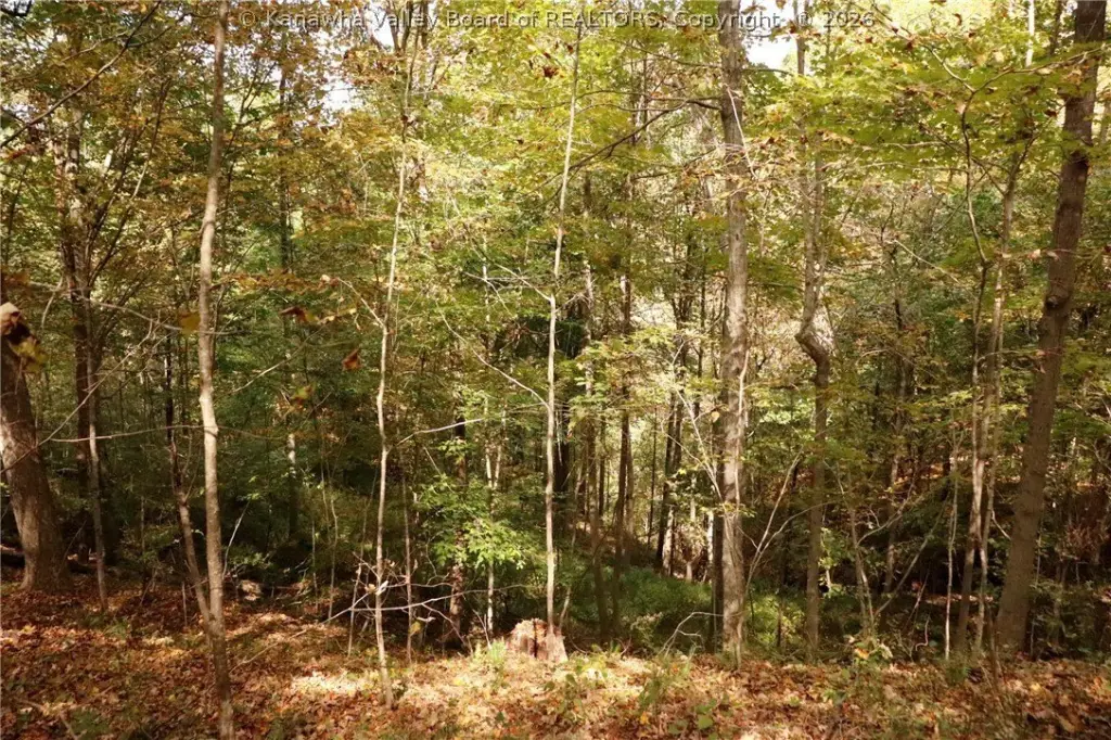 Picture 14