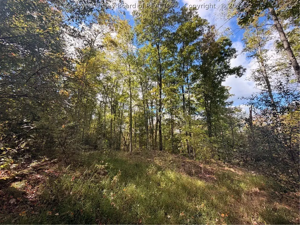 Picture 25