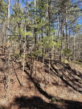 Hot Springs Village Wooded Lot