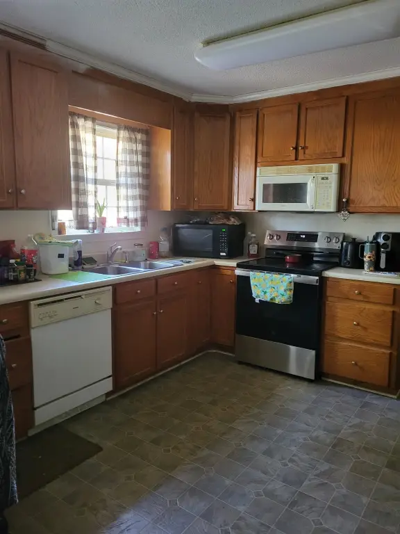 Picture 5