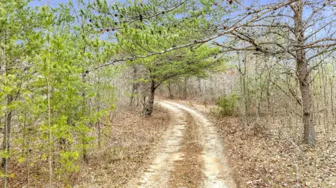 64 Acres of Hunting Land