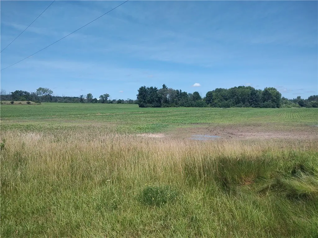 Picture 14