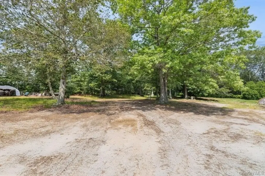Picture 30