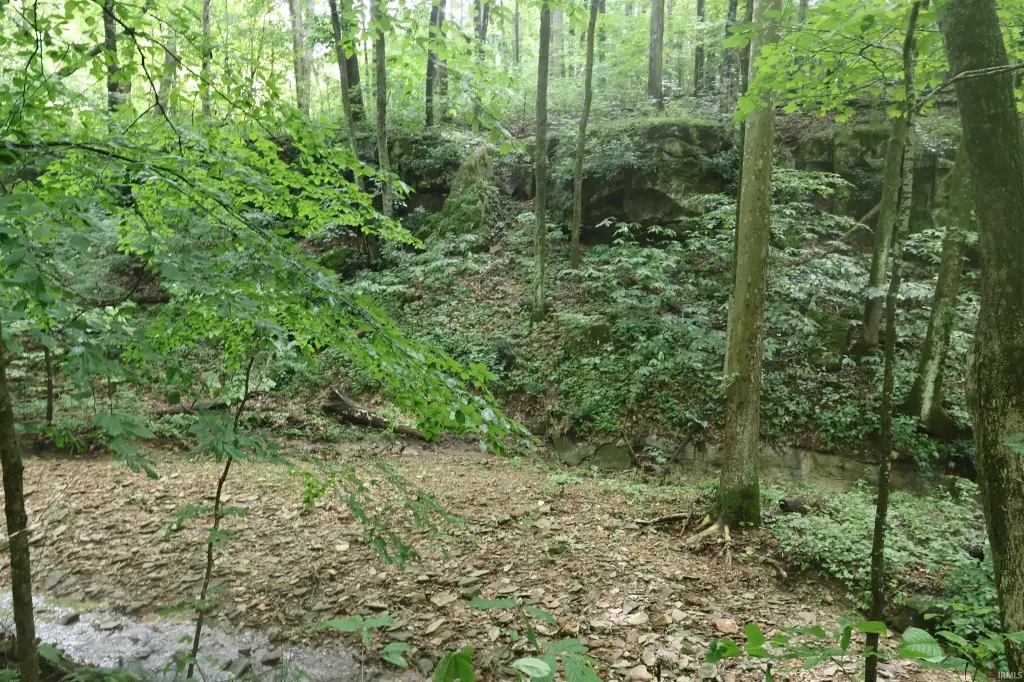 Picture 45