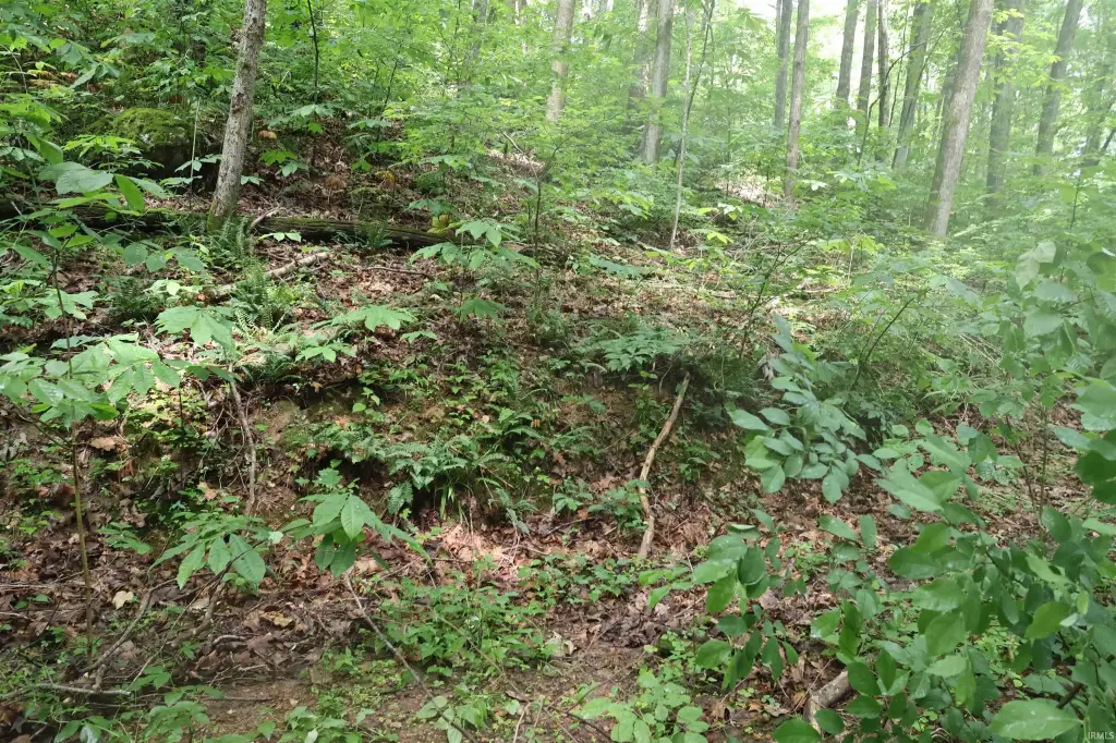 Picture 11