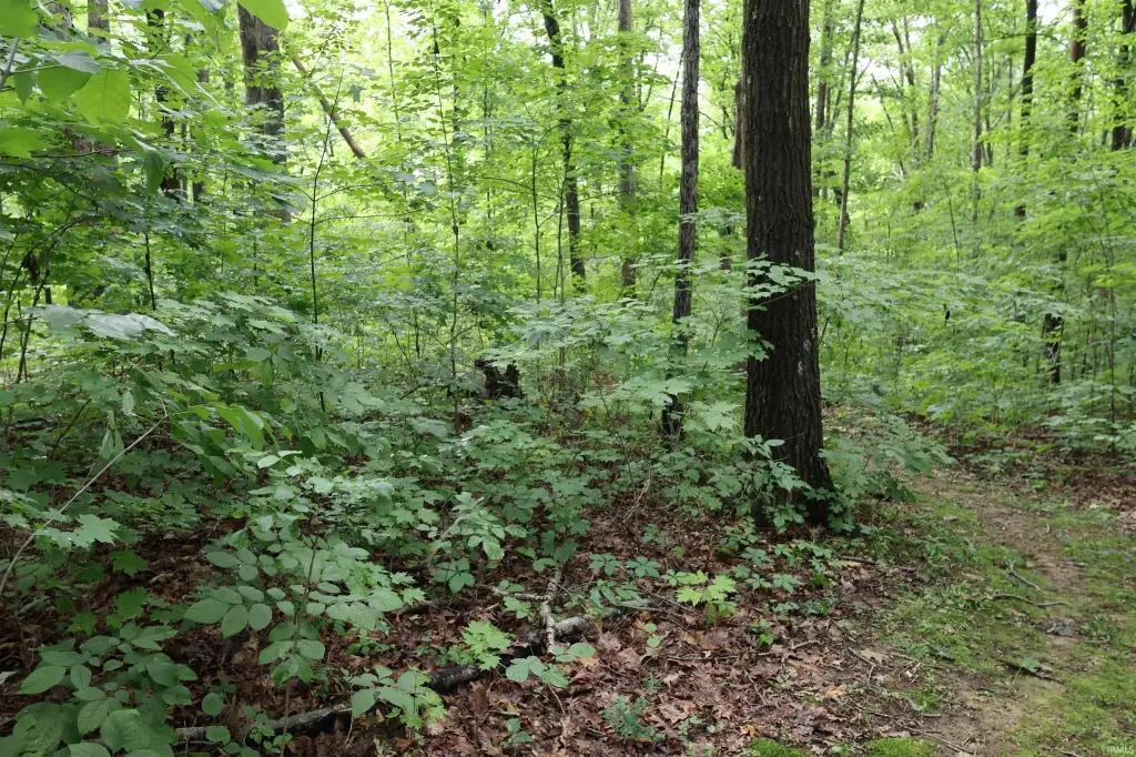 Picture 41