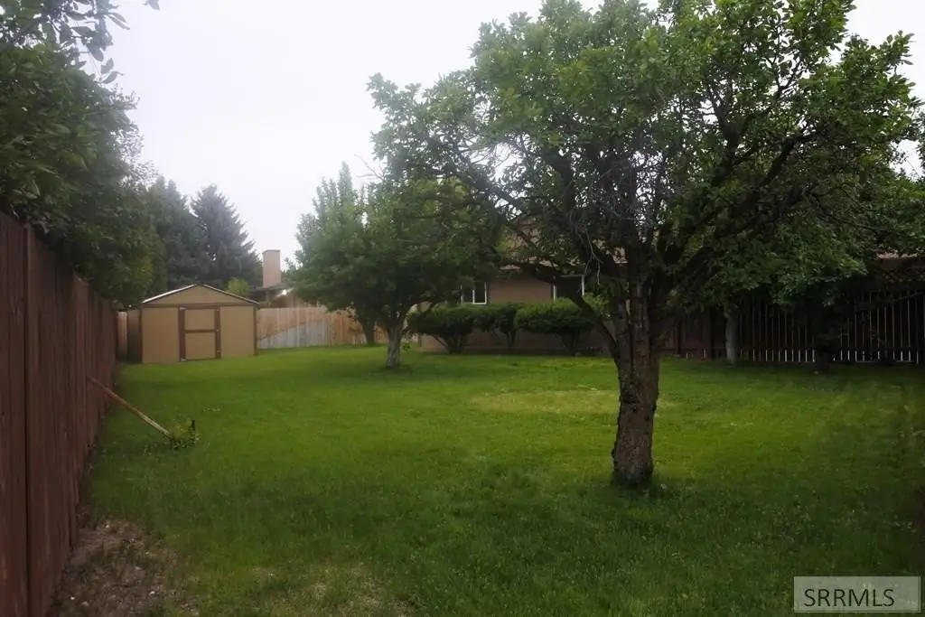Picture 29