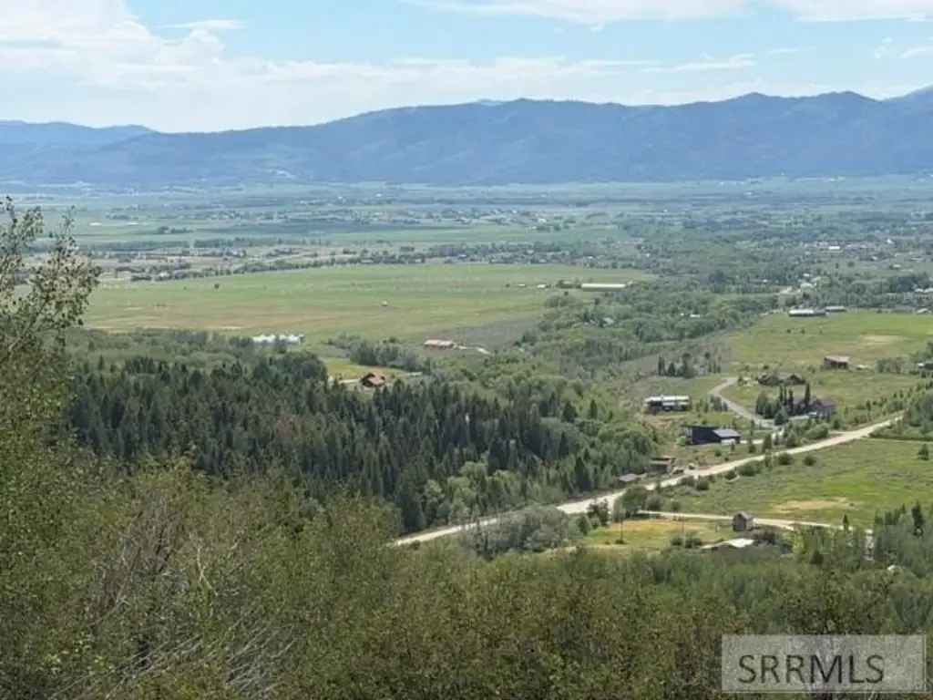 Picture 20
