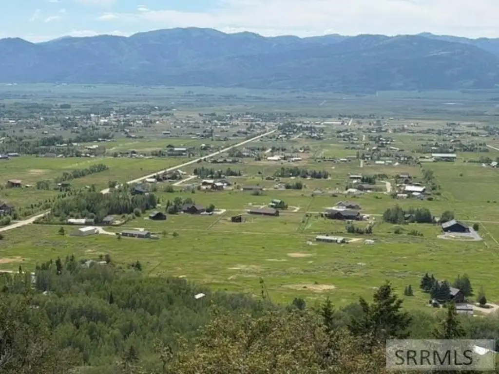 Picture 19