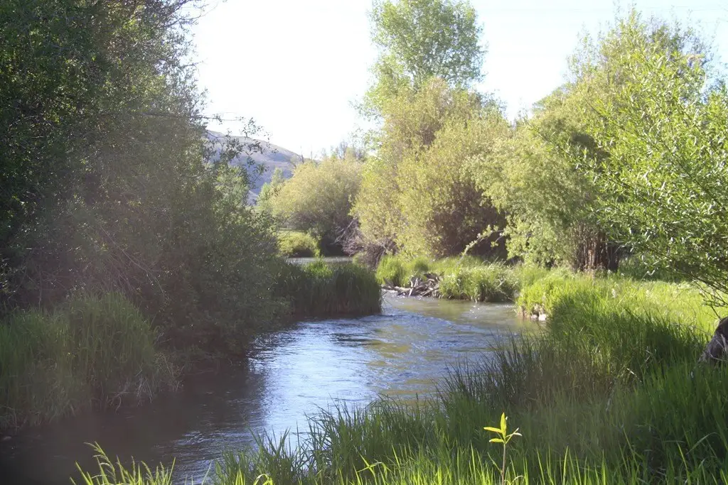 Picture 22