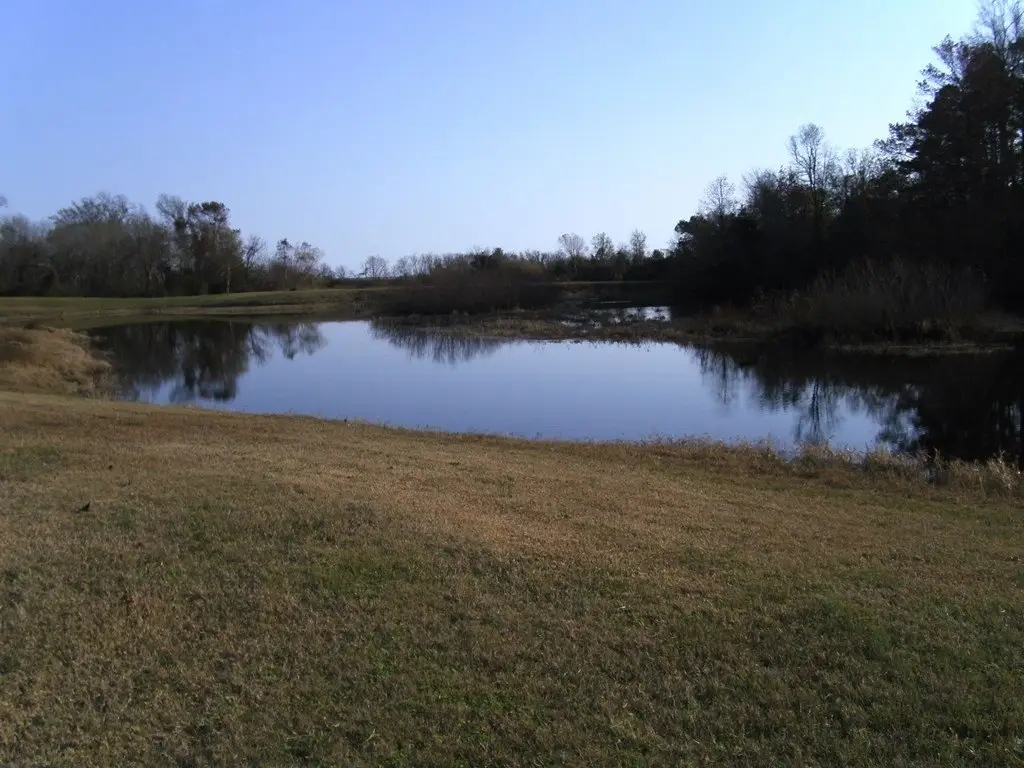 Picture 16