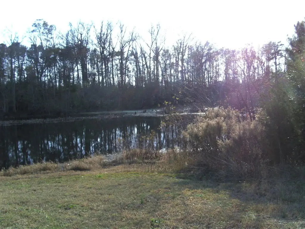 Picture 14