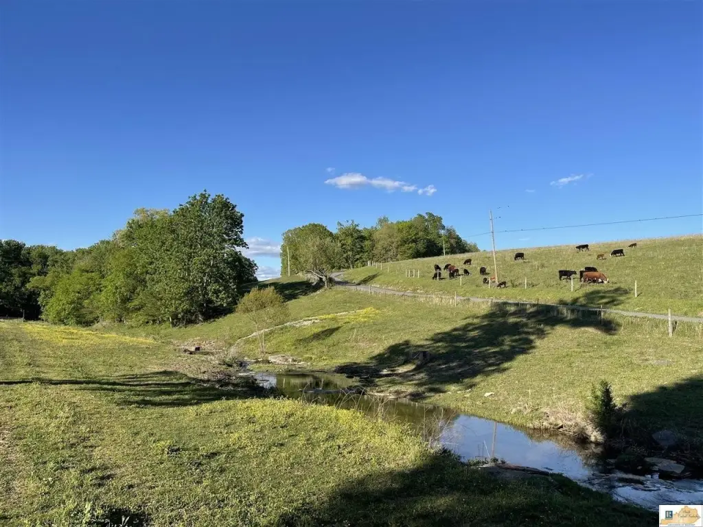 Picture 11