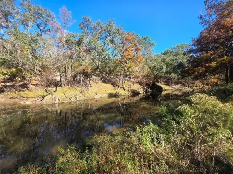 Riverfront Land in Dade City