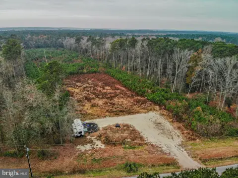 Cleared Land Backing State Property