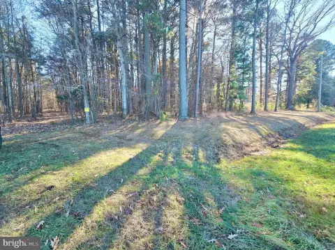 Premier Eastern Shore Hunting Tract