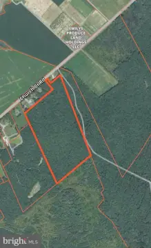 Premier Eastern Shore Hunting Tract