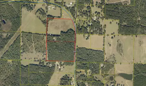 Hunting Land with Hardwood Timber