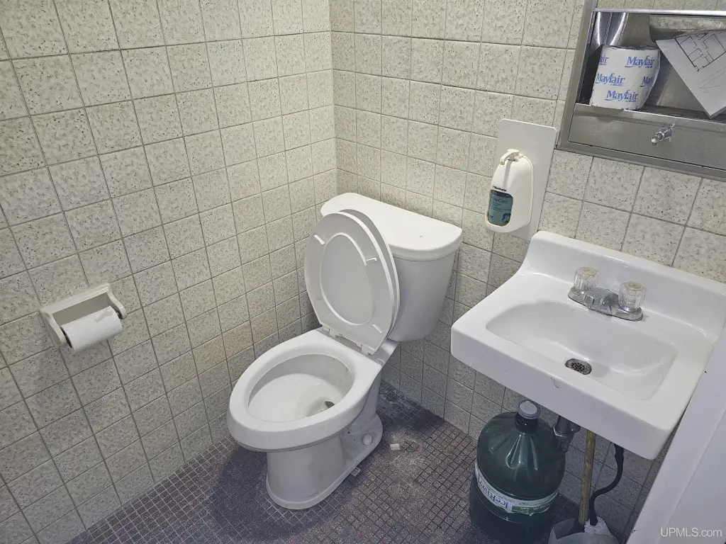 Picture 16
