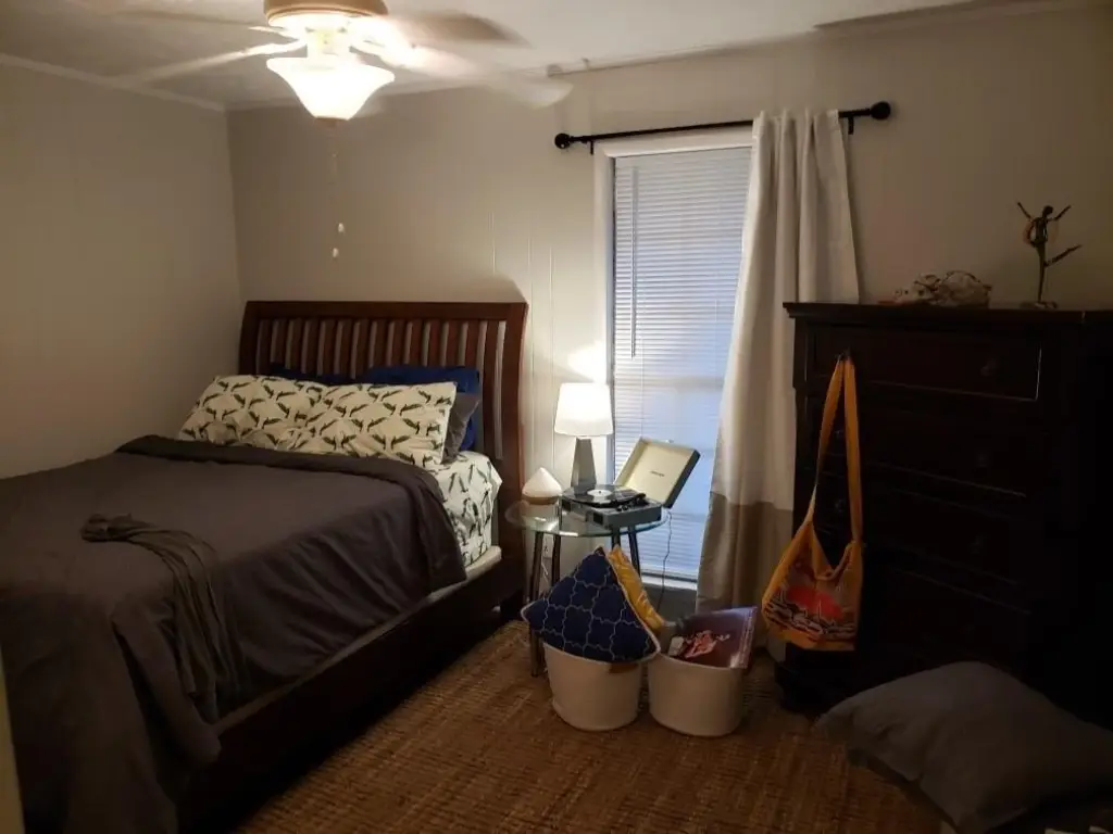Picture 5