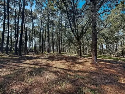 Residential Land in Franklinton, LA