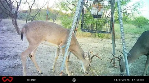 Versatile Land Ready for Memories