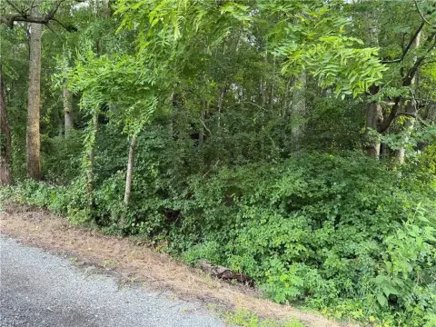 Wooded Acre Lot in Gloucester