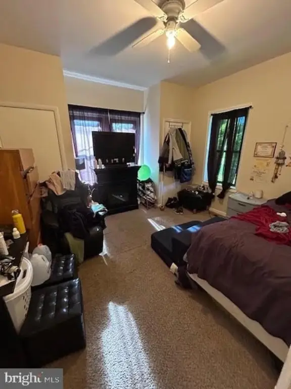 Picture 13