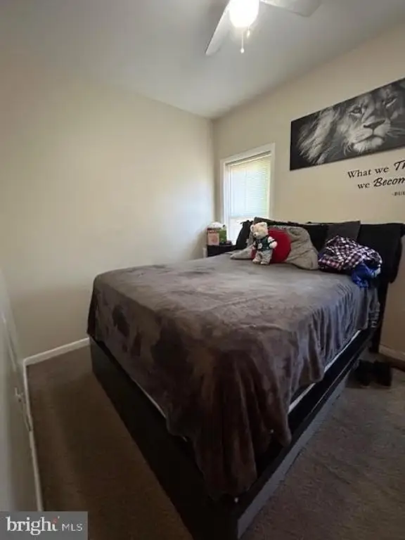 Picture 12