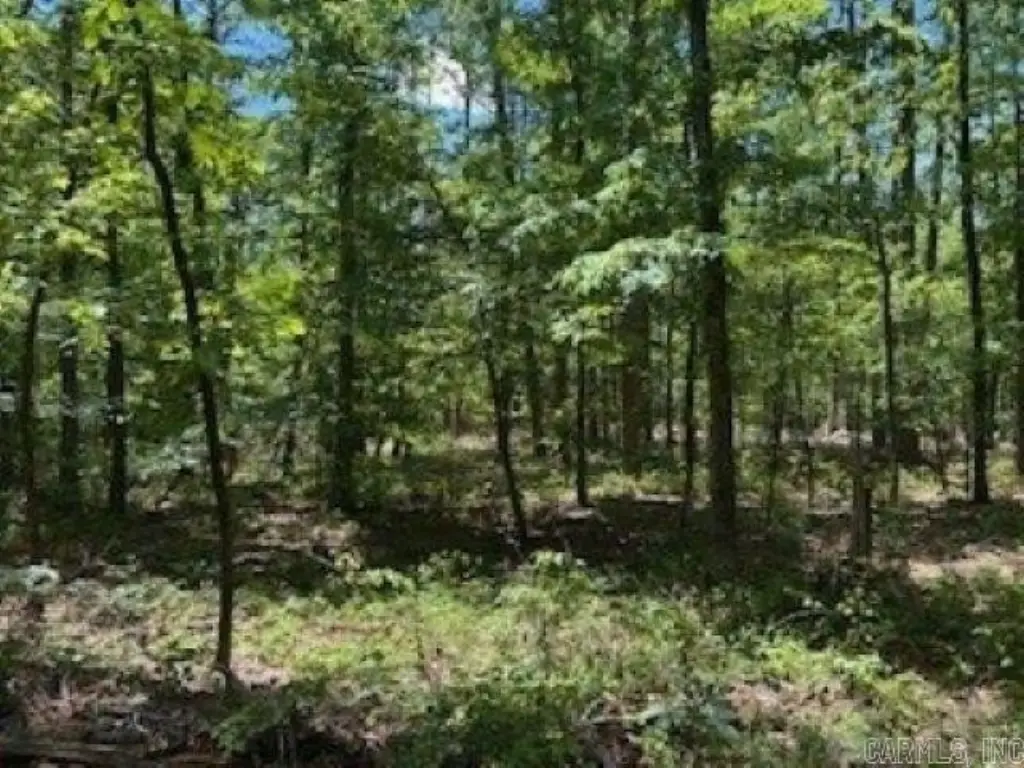 Picture 2