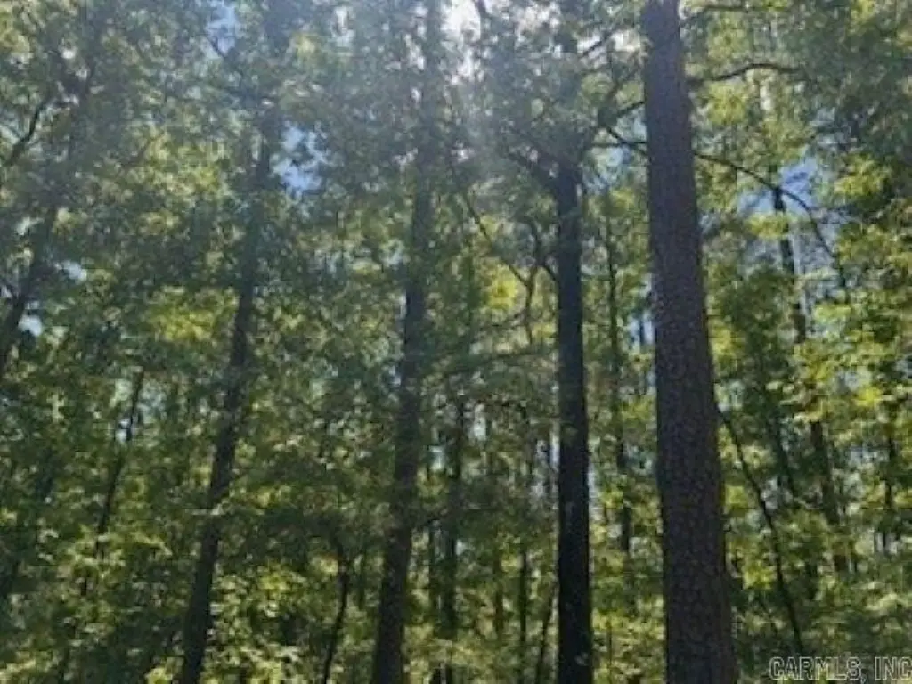 Picture 3