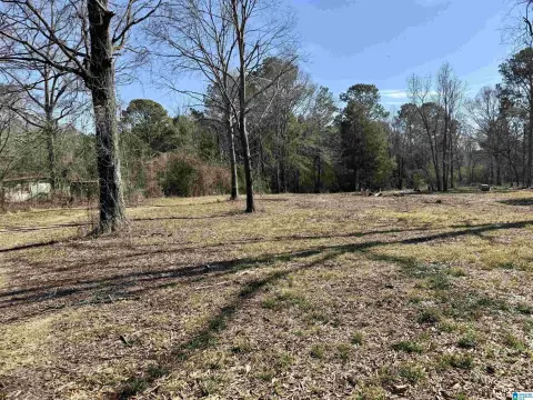 3 Acres Wooded Land Sylacauga