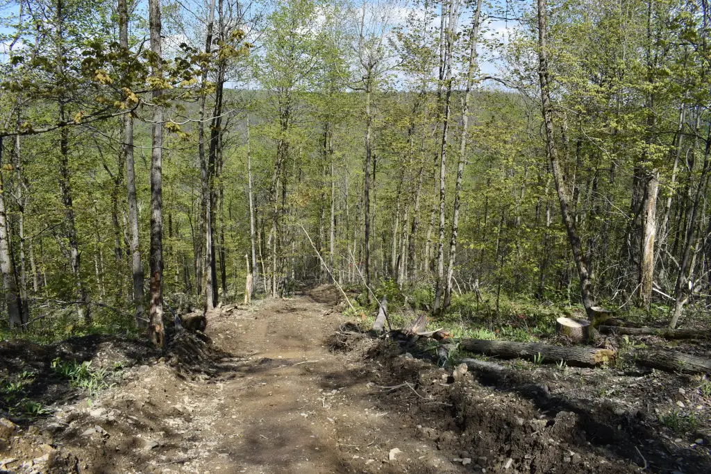 Picture 19