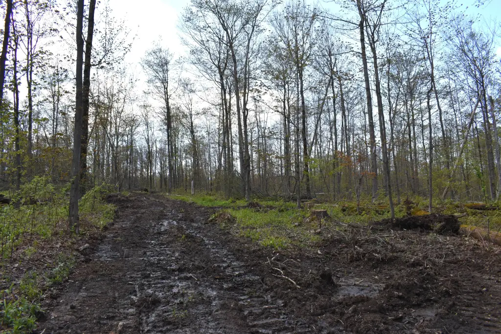 Picture 24