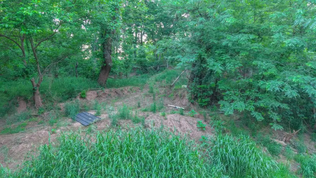 Picture 15