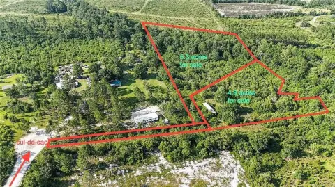 Brantley County Wooded Acreage